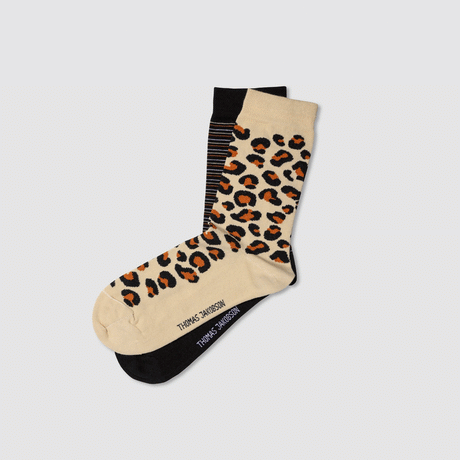 HW 22/23 - City Safari Walks