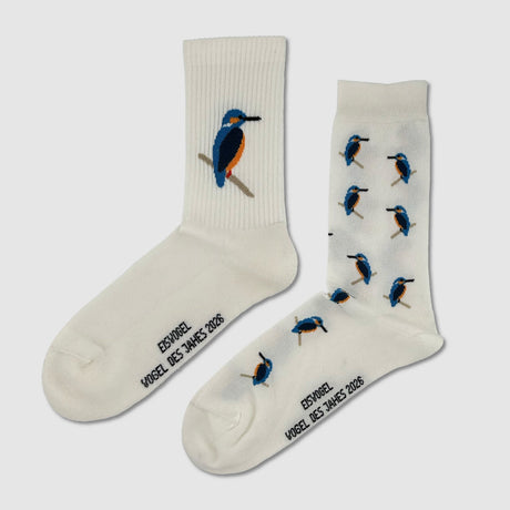 Thomas Jakobson x BirdLife Schweiz