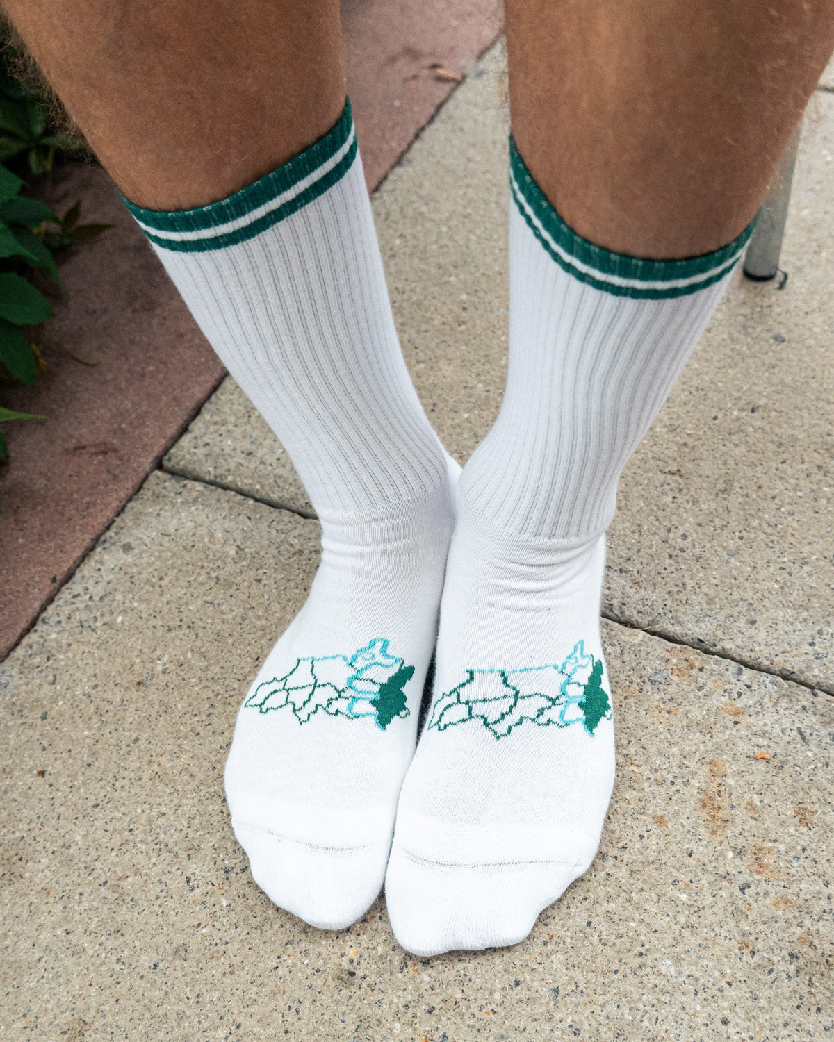 Sportsocken 3006 Bern